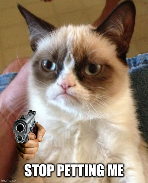 Grumpy Cat | STOP PETTING ME | image tagged in memes,grumpy cat | made w/ Imgflip meme maker