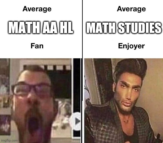 Average Fan vs. Average Enjoyer | MATH AA HL; MATH STUDIES | image tagged in average fan vs average enjoyer | made w/ Imgflip meme maker