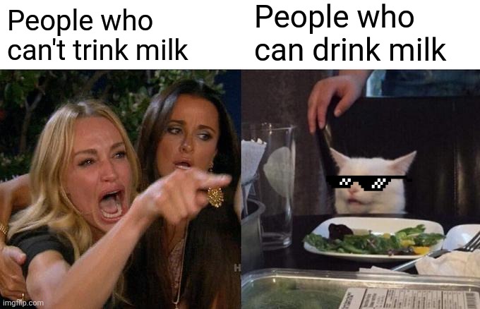 Milk meme or (whatever) | People who can drink milk; People who can't trink milk | image tagged in memes,woman yelling at cat | made w/ Imgflip meme maker