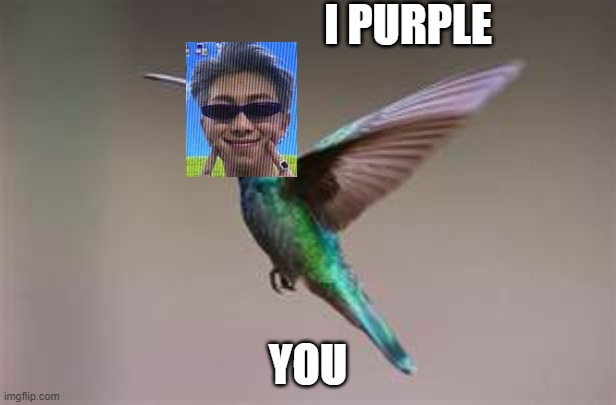 RM Bird | I PURPLE; YOU | image tagged in bird,fly,love | made w/ Imgflip meme maker