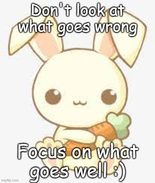 Kawaii bunny's message | Don't look at what goes wrong; Focus on what goes well :) | image tagged in focus on the positives,wrong,cute bunny,memes,be happy,don't worry | made w/ Imgflip meme maker