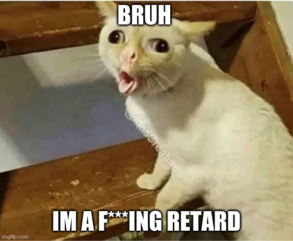 retarded cat meme | BRUH; IM A F***ING RETARD | image tagged in retard cat meme | made w/ Imgflip meme maker