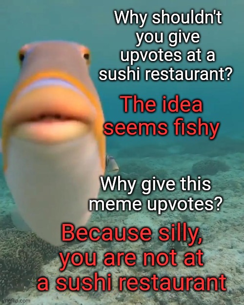 Sushi Fishy Upvotes | Why shouldn't you give upvotes at a sushi restaurant? The idea seems fishy; Why give this meme upvotes? Because silly, you are not at a sushi restaurant | image tagged in staring fish,upvote begging,sushi | made w/ Imgflip meme maker