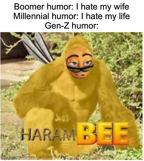 Boomer humor: I hate my wife
Millennial humor: I hate my life
Gen-Z humor: | made w/ Imgflip meme maker