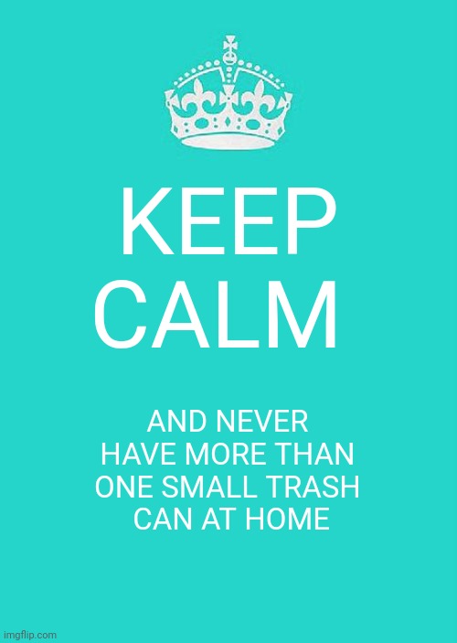 Is this a sign of some OCD mental inability or can you do as you like where you live and others ought to respect that? | KEEP CALM; AND NEVER
 HAVE MORE THAN 
ONE SMALL TRASH
 CAN AT HOME | image tagged in memes,keep calm and carry on aqua | made w/ Imgflip meme maker