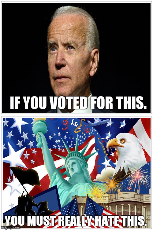 The left hate America. | IF YOU VOTED FOR THIS. YOU MUST REALLY HATE THIS. | image tagged in memes,usa,joe biden,not my president,funny memes,political meme | made w/ Imgflip meme maker