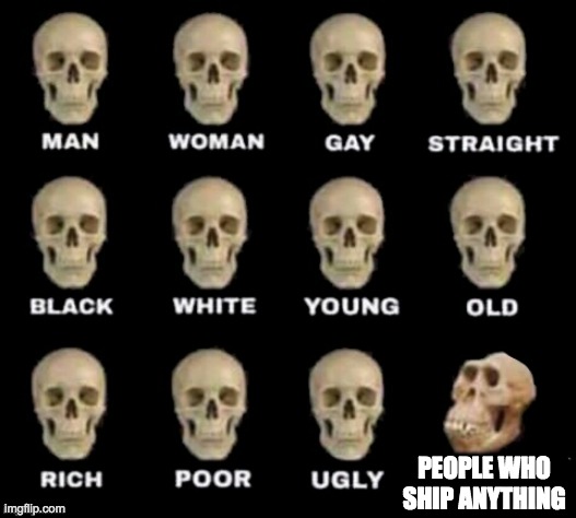 idiot skull | PEOPLE WHO SHIP ANYTHING | image tagged in idiot skull | made w/ Imgflip meme maker