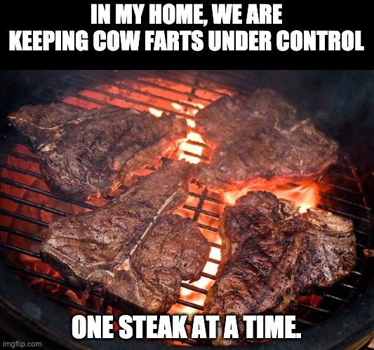 Cow farts | IN MY HOME, WE ARE KEEPING COW FARTS UNDER CONTROL; ONE STEAK AT A TIME. | image tagged in steak | made w/ Imgflip meme maker