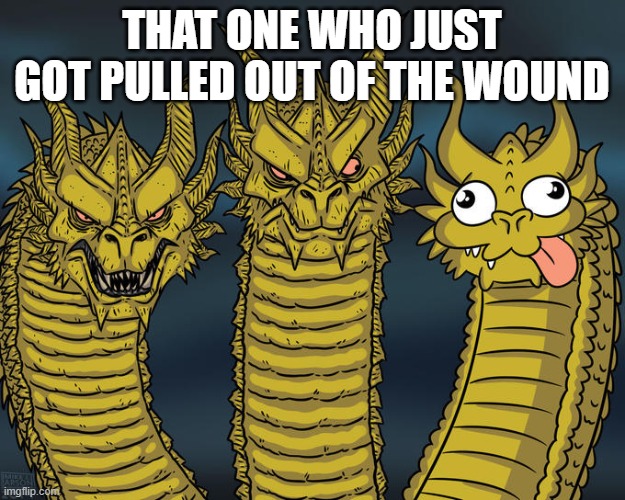 HAVE TOBE A GODZILLA FAN TO GET THIS | THAT ONE WHO JUST GOT PULLED OUT OF THE WOUND | image tagged in three-headed dragon | made w/ Imgflip meme maker