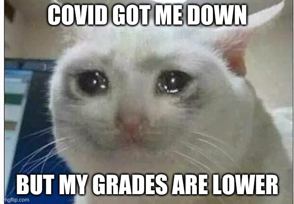 crying cat | COVID GOT ME DOWN; BUT MY GRADES ARE LOWER | image tagged in crying cat,memes,funny | made w/ Imgflip meme maker