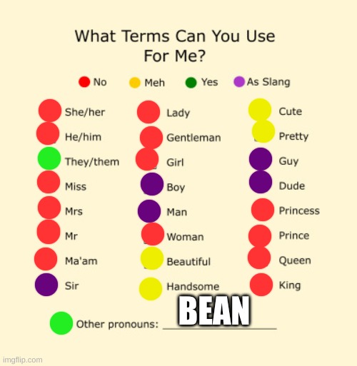 Pronouns Sheet | BEAN | image tagged in pronouns sheet | made w/ Imgflip meme maker