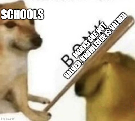 fun | SCHOOLS; MARKS ARE NOT VALUED, KNOWLEDGE IS VALUED | image tagged in bonk | made w/ Imgflip meme maker