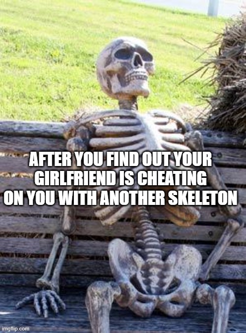 why | AFTER YOU FIND OUT YOUR GIRLFRIEND IS CHEATING ON YOU WITH ANOTHER SKELETON | image tagged in memes,waiting skeleton | made w/ Imgflip meme maker