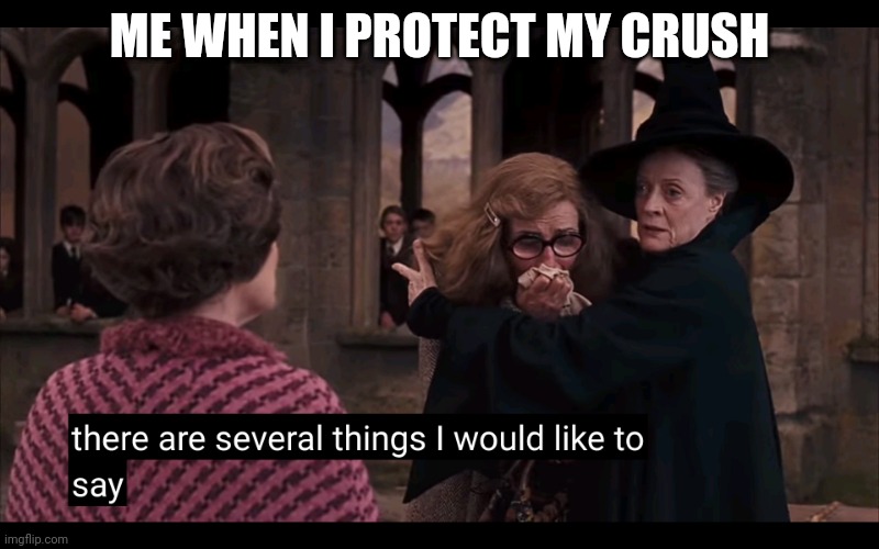 Minerva McGonagall and Still Trelawney | ME WHEN I PROTECT MY CRUSH | image tagged in harry potter,memes | made w/ Imgflip meme maker
