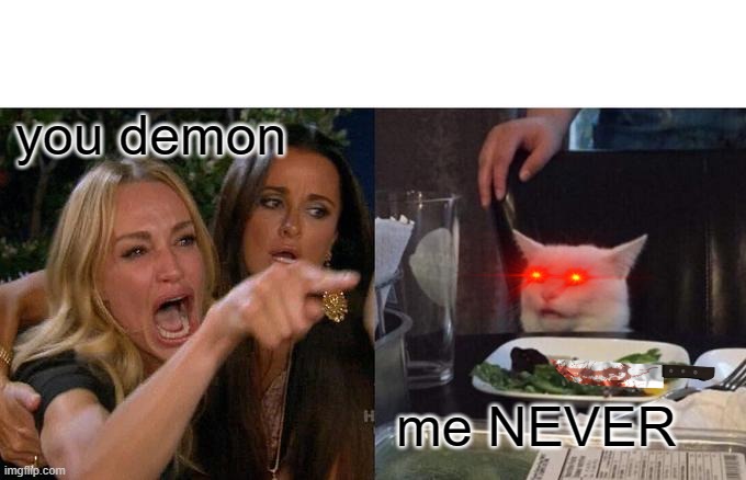 Demon NEVER | you demon; me NEVER | image tagged in memes,woman yelling at cat | made w/ Imgflip meme maker