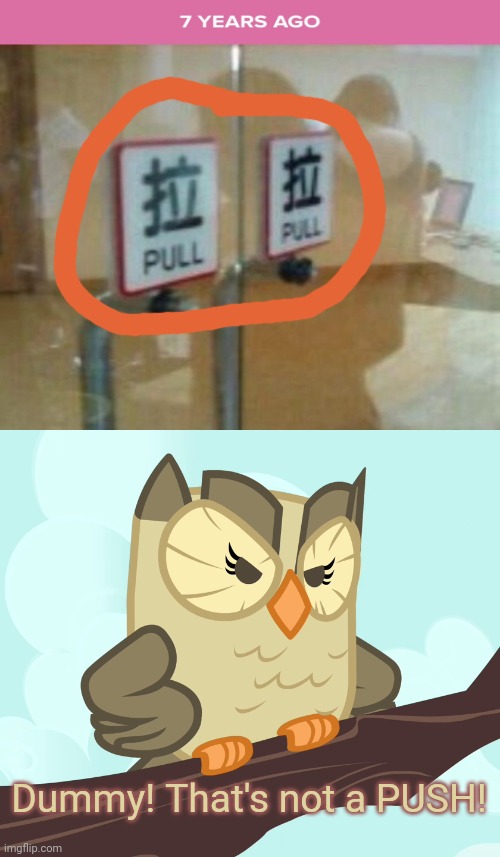 Uhhh... Not a way to do that. | Dummy! That's not a PUSH! | image tagged in scowled owlowiscious mlp,funny,you had one job,stupid signs,memes,how the turntables | made w/ Imgflip meme maker