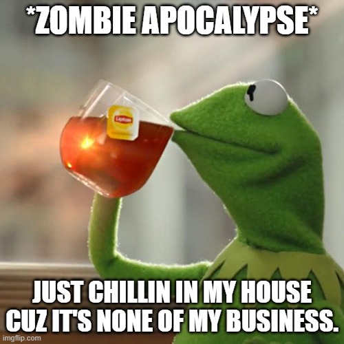 But That's None Of My Business | *ZOMBIE APOCALYPSE*; JUST CHILLIN IN MY HOUSE CUZ IT'S NONE OF MY BUSINESS. | image tagged in memes,but that's none of my business,kermit the frog | made w/ Imgflip meme maker