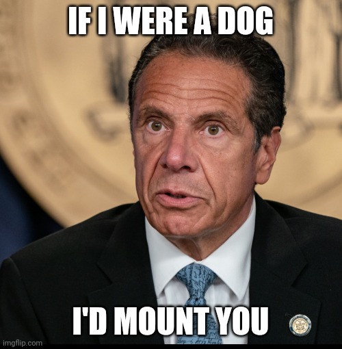 Cuomo memes | IF I WERE A DOG; I'D MOUNT YOU | image tagged in funny | made w/ Imgflip meme maker