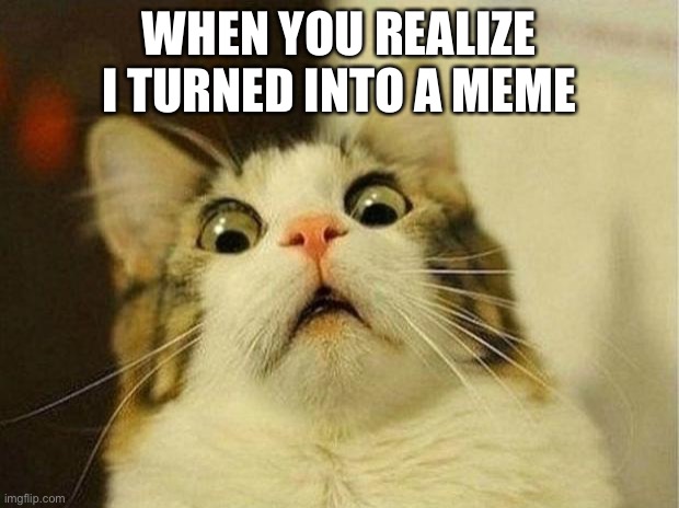 Scared Cat Meme |  WHEN YOU REALIZE I TURNED INTO A MEME | image tagged in memes,scared cat | made w/ Imgflip meme maker