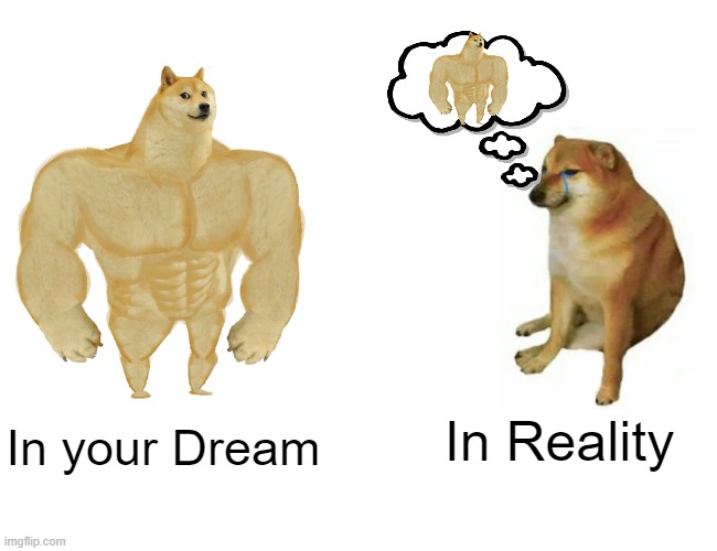 IN YOUR DREAM | In Reality; In your Dream | image tagged in memes,buff doge vs cheems | made w/ Imgflip meme maker