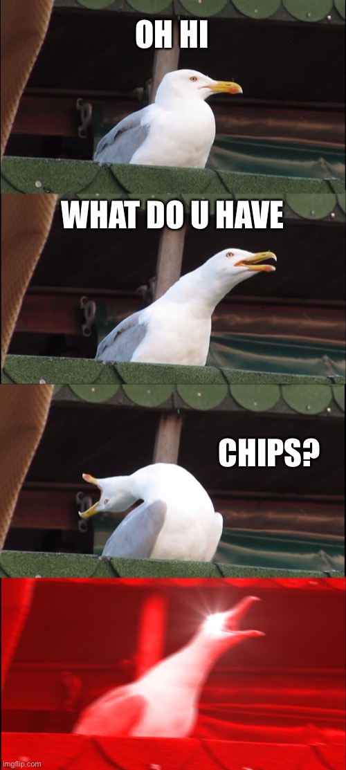 Inhaling Seagull |  OH HI; WHAT DO U HAVE; CHIPS? | image tagged in memes,inhaling seagull | made w/ Imgflip meme maker