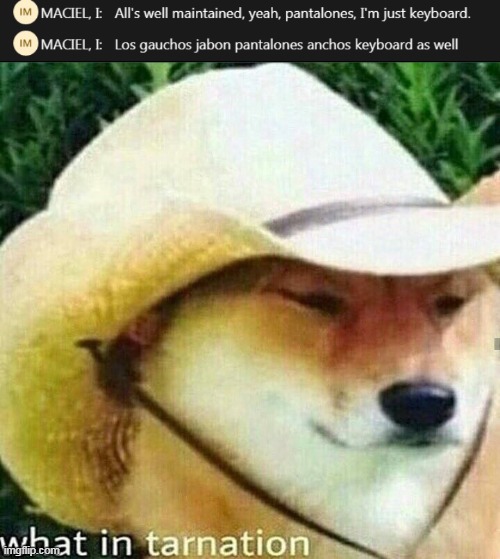 oh...ok | image tagged in what in tarnation dog,boi | made w/ Imgflip meme maker