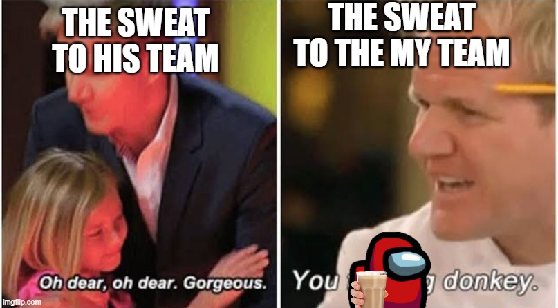 they destroy us | THE SWEAT TO THE MY TEAM; THE SWEAT TO HIS TEAM | image tagged in gordon ramsay kids vs adults | made w/ Imgflip meme maker