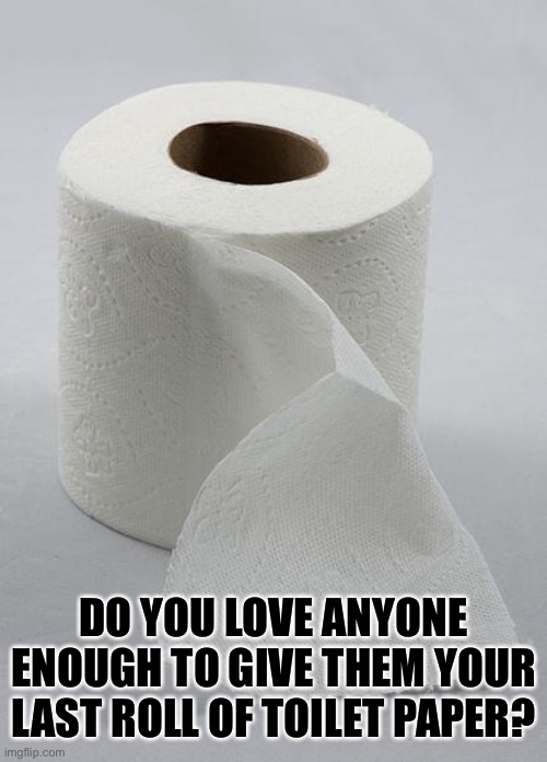 True Lovr | DO YOU LOVE ANYONE ENOUGH TO GIVE THEM YOUR LAST ROLL OF TOILET PAPER? | image tagged in toilet paper | made w/ Imgflip meme maker