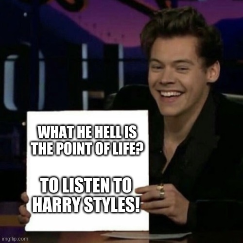 Harry Styles |  WHAT HE HELL IS THE POINT OF LIFE? TO LISTEN TO HARRY STYLES! | image tagged in harry styles | made w/ Imgflip meme maker