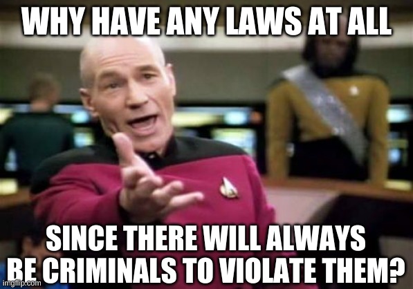 Picard Wtf Meme | WHY HAVE ANY LAWS AT ALL SINCE THERE WILL ALWAYS BE CRIMINALS TO VIOLATE THEM? | image tagged in memes,picard wtf | made w/ Imgflip meme maker