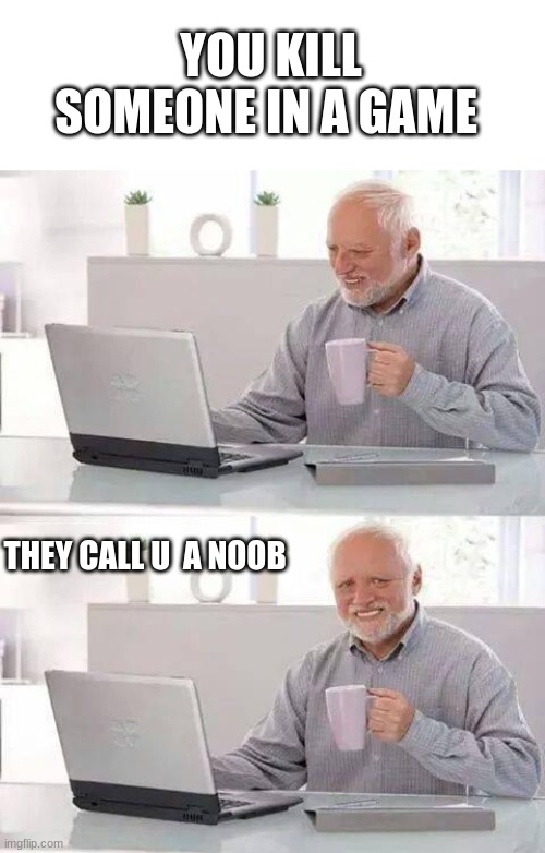 tHEY dA nOoB | YOU KILL SOMEONE IN A GAME; THEY CALL U  A NOOB | image tagged in memes,hide the pain harold | made w/ Imgflip meme maker