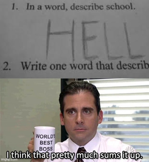 That REALLY just about sums it up! | image tagged in michael scott,school,school meme | made w/ Imgflip meme maker