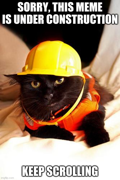 Workin' on it.... | SORRY, THIS MEME IS UNDER CONSTRUCTION; KEEP SCROLLING | image tagged in construction cat,funny | made w/ Imgflip meme maker