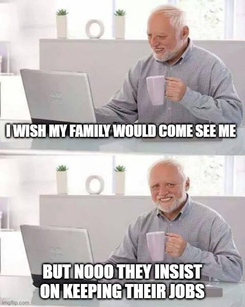 but nooo |  I WISH MY FAMILY WOULD COME SEE ME; BUT NOOO THEY INSIST ON KEEPING THEIR JOBS | image tagged in memes,hide the pain harold | made w/ Imgflip meme maker