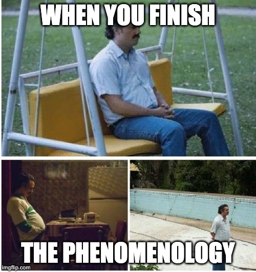 Phenomenology | WHEN YOU FINISH; THE PHENOMENOLOGY | image tagged in narcos waiting | made w/ Imgflip meme maker