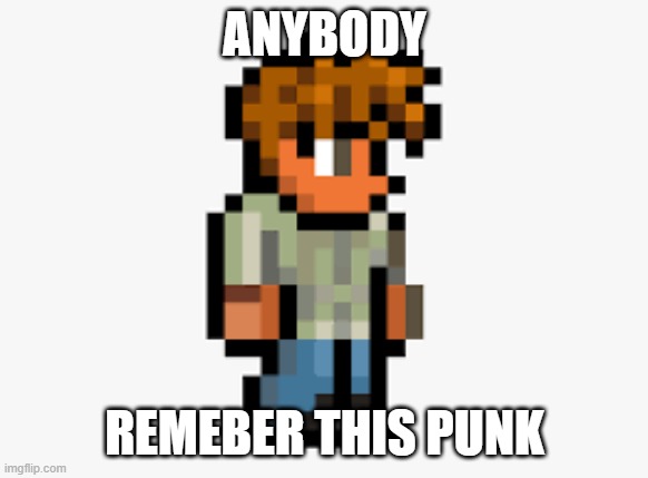 any body else here about terraria 2 | ANYBODY; REMEBER THIS PUNK | image tagged in terraria | made w/ Imgflip meme maker