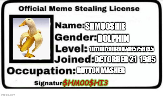 $HMOO$HI3 |  SHMOOSHIE; DOLPHIN; 1011901909907465756745; OCTORBER 21  1985; BUTTON MASHER; $HM00$HI3 | image tagged in official meme stealing license | made w/ Imgflip meme maker