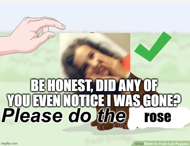 BE HONEST, DID ANY OF YOU EVEN NOTICE I WAS GONE? | image tagged in please do the rose | made w/ Imgflip meme maker