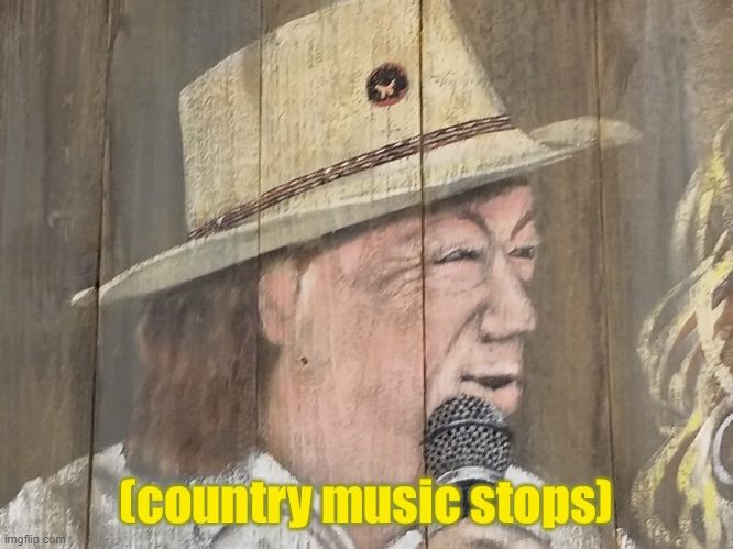 [ country music stops] | image tagged in country music stops | made w/ Imgflip meme maker