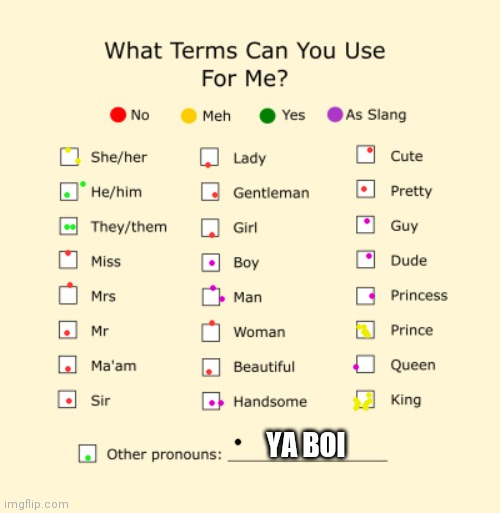 Pronouns Sheet | YA BOI | image tagged in pronouns sheet | made w/ Imgflip meme maker