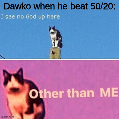 oH nO- | Dawko when he beat 50/20: | image tagged in hail pole cat | made w/ Imgflip meme maker