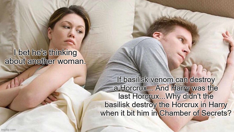 Harry Potter meme :") | I bet he's thinking about another woman. If basilisk venom can destroy a Horcrux... And Harry was the last Horcrux...Why didn't the basilisk destroy the Horcrux in Harry when it bit him in Chamber of Secrets? | image tagged in memes,i bet he's thinking about other women | made w/ Imgflip meme maker
