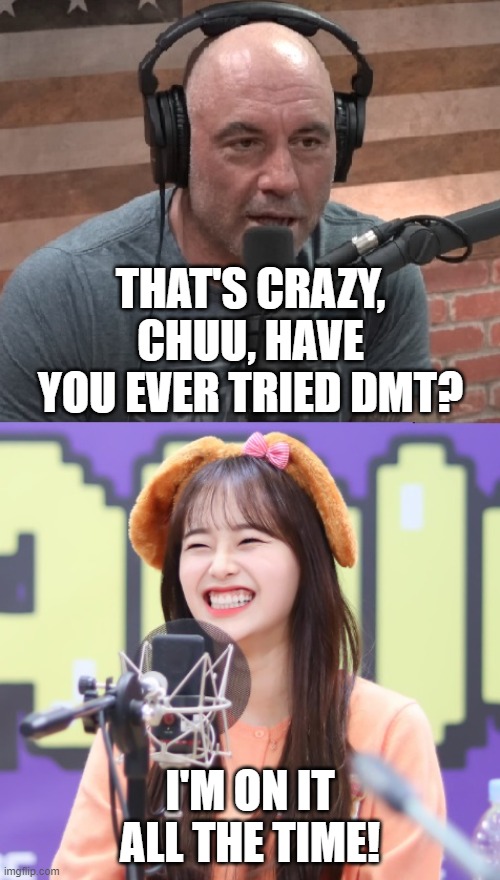 If Chuu was a guest on JRE | THAT'S CRAZY, CHUU, HAVE YOU EVER TRIED DMT? I'M ON IT ALL THE TIME! | image tagged in chuu on joe rogan | made w/ Imgflip meme maker