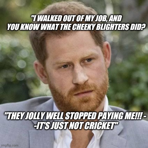 Prince Harry | "I WALKED OUT OF MY JOB, AND YOU KNOW WHAT THE CHEEKY BLIGHTERS DID? "THEY JOLLY WELL STOPPED PAYING ME!!! -
 -IT'S JUST NOT CRICKET" | image tagged in prince harry,royal family,meghan markle,entitlement | made w/ Imgflip meme maker