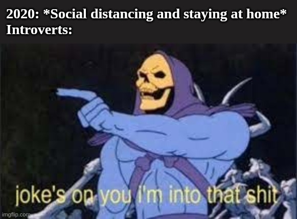 Jokes on you im into that shit | 2020: *Social distancing and staying at home*
Introverts: | image tagged in jokes on you im into that shit | made w/ Imgflip meme maker
