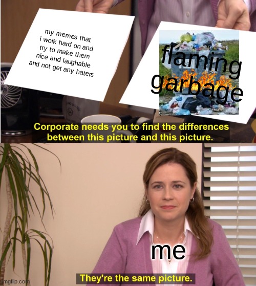 They're The Same Picture Meme | my memes that i work hard on and try to make them nice and laughable and not get any haters; flaming garbage; me | image tagged in memes,they're the same picture | made w/ Imgflip meme maker