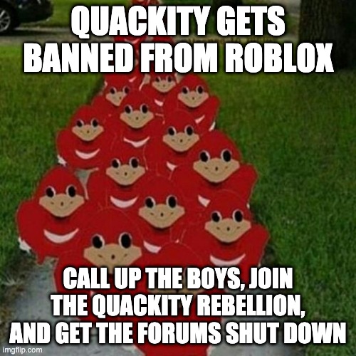 Ugandan knuckles army | QUACKITY GETS BANNED FROM ROBLOX; CALL UP THE BOYS, JOIN THE QUACKITY REBELLION, AND GET THE FORUMS SHUT DOWN | image tagged in ugandan knuckles army | made w/ Imgflip meme maker