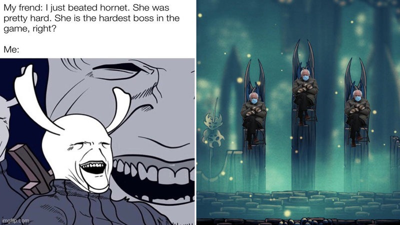 Agreeable? | image tagged in hollow knight,funny,fun,gaming | made w/ Imgflip meme maker