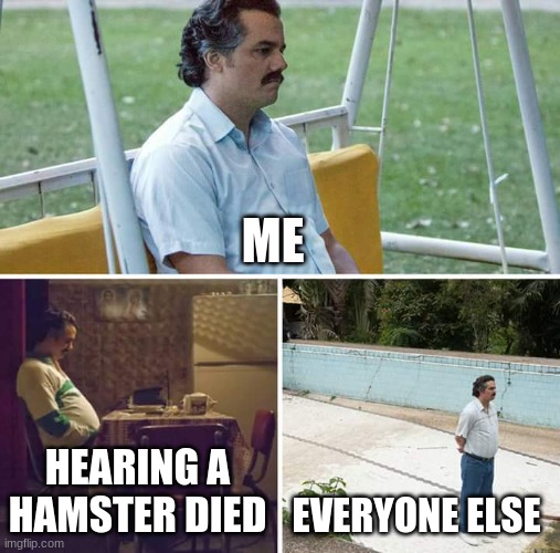 ME HEARING A HAMSTER DIED EVERYONE ELSE | image tagged in memes,sad pablo escobar | made w/ Imgflip meme maker