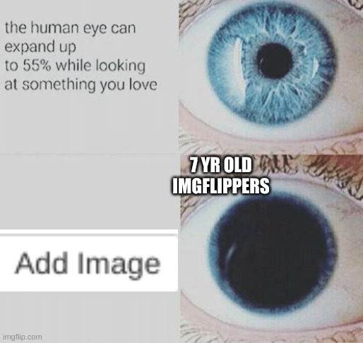 Eye pupil expand | 7 YR OLD IMGFLIPPERS | image tagged in eye pupil expand | made w/ Imgflip meme maker